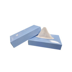 Facial Tissues 21 x 21 cm 2 Laags | 40 x 100 Tissues
