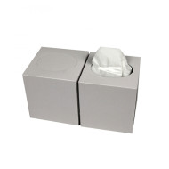 Facial Tissues Cube 100% Cellulose 21 x 20 cm 2 Laags | 30 x 90 Tissues