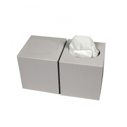 Facial Tissues Cube 100% Cellulose 21 x 20 cm 2 Laags | 30 x 90 Tissues