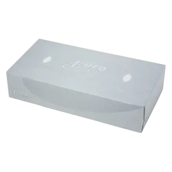 Facial Tissues 2 Laags 21 x 21 cm | Doos 40 x 100 Tissues (4000 Stuks)