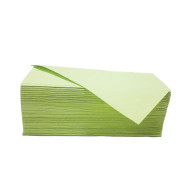 Handdoeken Z gevouwen Groen 2-laags 23x25 cm | 20 x 160 doeken