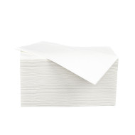 Handdoeken Z gevouwen 2-laags 21x20 cm | 20 x 160 doeken
