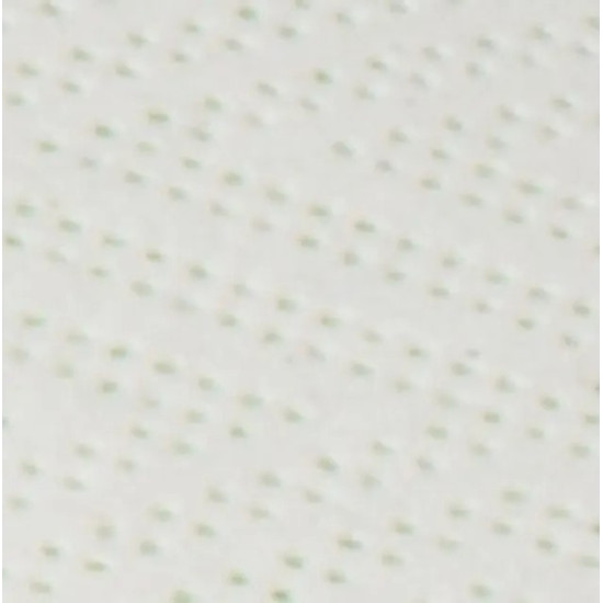 Papieren Handdoeken Z Gevouwen 2 Laags 22x25 cm 3225 Doeken