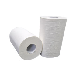 Handdoekrol Mini Centerfeed 2 Laags 20cm | 12 x 72 meter