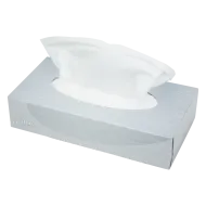 Facial Tissues 2 Laags 21 x 21 cm | Doos 40 x 100 Tissues (4000 Stuks)