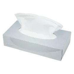 Facial Tissues 2 Laags 21 x 21 cm | Doos 40 x 100 Tissues (4000 Stuks)